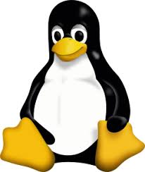Linux Image